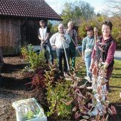 Gartenbauverein pflanzt Blütenhecke für mehr Artenvielfalt im Friedhof