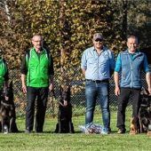 Wau! Vereinsmeister ist „Sue von der Donauvorstadt“