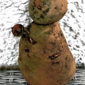 Kartoffelmann hat noch Schonzeit