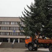 Der neue Weihnachtsbaum ist da