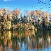 Spieglein, Spieglein