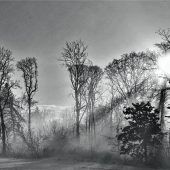 Tolle Eindrücke: Haager Fotoclub stellt aus