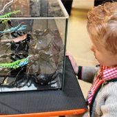 Faszinierende Spinnenwelt