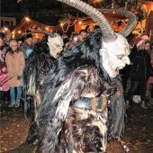 Gelungener Weihnachtsmarktauftakt in Bruckmühl mit Kramperl, Kamelen und Lamas