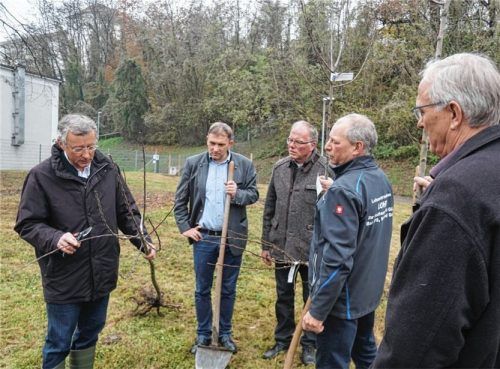 Abteilungsleiter Markus Popp von der Landwirtschaftsschule organisierte einen Baumschnittkurs.
