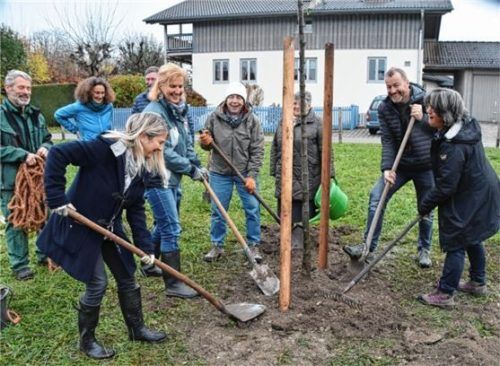 Aktion der Nachhaltigkeit: Die Mitglieder der Vorstandschaft des Obst- und Gartenbauvereins Pfraundorf pflanzen unter fachlicher Anleitung von Landschaftsgärtner Werner Kraus (hinten links) eine Silberlinde an.Foto Ruprecht