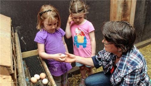 Anbieter von „Urlaub auf dem Bauernhof“ müssen Umsatzsteuer leisten.Foto dpa