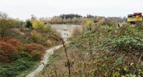 Auf dieses Gelände bezieht sich der Antrag auf Kiesabbau, Wiederverfüllung und Rekultivierung. Foto  Baumann