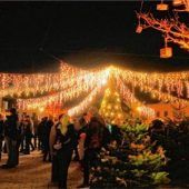 Advent am Wasserschloss