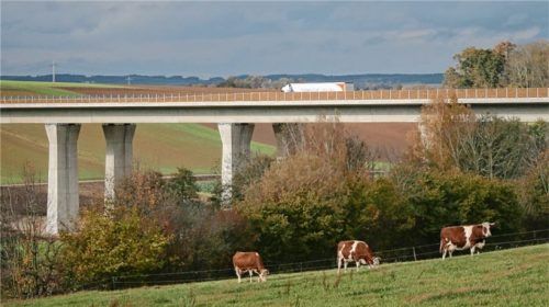 Der Lastwagen ist deutlich höher als die Lärmschutzwand: Anwohner fordern dringend bessere Schutzmaßnahmen und ein Tempolimit. Heimische Abgeordnete verlangen jetzt konkrete Lärmmessungen.  Foto fib/Eß