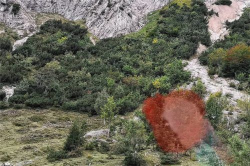 Der Mysterythriller „Amygdala“ spielt in der Region. Foto Schuldenberg films