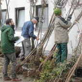 Es grünt so grün: Dettendorfer pflanzen