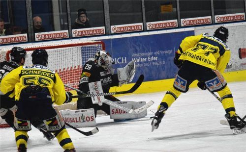 Die Löwen kassierten in Passau die erste Niederlage in dieser Saison. Foto  del Grosso