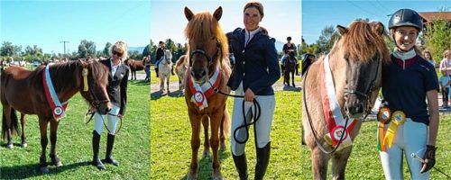 Die Rosenheimer Stadtmeister 2019 im Islandpferdesport: Lena von Werder (Viergang), Katharina Fratzscher (Dressur) und Katrin Marx (Tölt und Fünfgang).