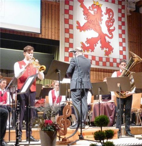 Ein Blick in das Orchester der Stadtkapelle.Foto re