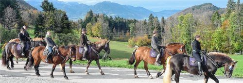 Eine Idylle am Samerberg: Fast 80 Pferde machten sich mit ihren Reitern auf zum Leonhardiritt in Rossholzen.Fotos Nitzsche
