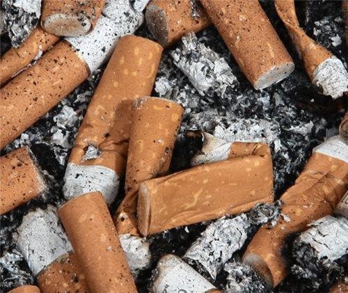 Gelten als Problemmüll: die Reste von Zigaretten. Vor allem die Filter enthalten zahlreiche Giftstoffe.Foto DPa