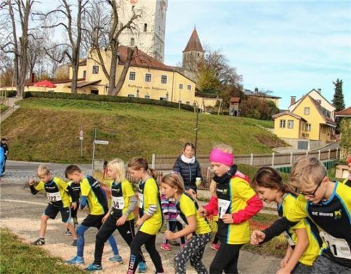 Kinder-Start zum zweiten Freyungslauf in Haag. Foto  Fladerer