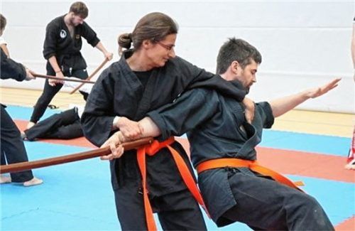 Mehr als 20 verschiedene Kampfsportstile sind in Wels angeboten worden.
