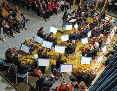 Thematisch und musikalisch gut: die Mühldorfer Symphoniker. Foto Jaen sch