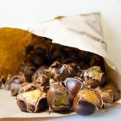 Maronenmehl Alternative für Allergiker