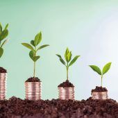 Wenn nicht nur die Rendite zählt