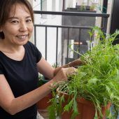 In Japans Küchen geht es akkurat zu