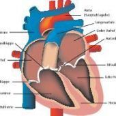 „Reparieren ist besser als ersetzen“