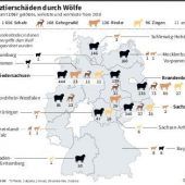Bundestag erleichtert Abschuss von Wölfen