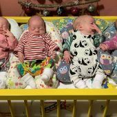 Zu Weihnachten vierfaches Babyglück