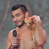 Chihuahua Percy ist RTL-„Supertalent“