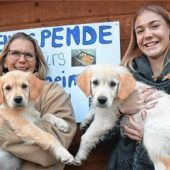 Spende fürs Tierheim übergeben
