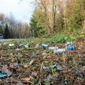 Leser-Protest gegen „Umwelt-Schweine“