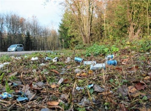 Immer wieder wird Müll achtlos weggeworfen. In Waldkraiburg will man eine Plogging-Gruppe gründen, die etwas Gutes für die Natur tun könnte und mit gutem Beispielvoran geht. Foto  Skwara