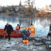Lehmkugeln sollen das Unkraut fernhalten