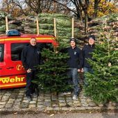 Christbäume verkauft