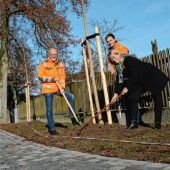 Ulmen als Schlusspunkt