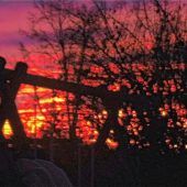 Leuchtendes Morgenrot