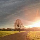 Frühling im Dezember