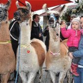 Tierische Überraschung im AWO Seniorenheim