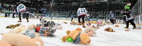 Am zweiten Weihnachtsfeiertag wird es wieder Kuscheltiere regnen, wenn die Starbulls ihr erstes Tor erzielen. Foto  Ziegler