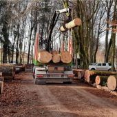 Heimisches Holz lockt nach Waging