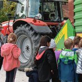 Kükenstreicheln und mehr