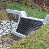 Handgeschmiedeter Wildholzrechen