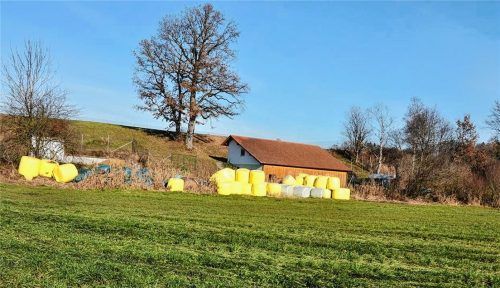 Auf diesem Grundstück in Feldolling soll eine Freiflächenfotovoltaikanlage errichtet werden. Foto Merk