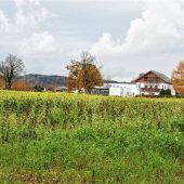 Brache statt bezahlbare Wohnungen