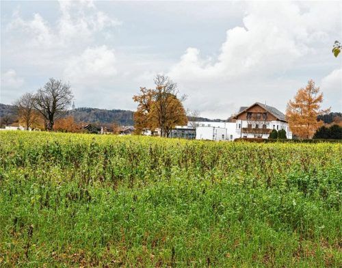 Auf dieser Fläche wollte „Bayernheim“ bezahlbaren Wohnraum schaffen – jetzt ist die Zusammenarbeit beendet. Wie es jetzt weitergehen soll, sollen laut Bürgermeister Hans Schaberl die Fraktionen zunächst intern klären. Foto merk