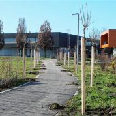 Neue Allee in Kolbermoor