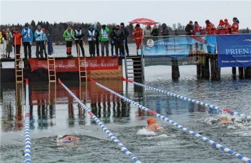 Beim Chiemsee Eiskönig starten die Schwimmer im eiskalten Wasser.