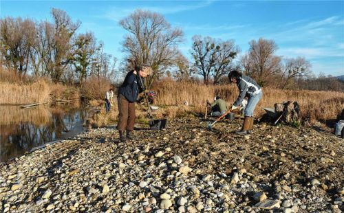 Damit bodenbrütende Vögel wieder einen geeigneten Nistplatz haben, legten viele Helfer Hand an.Foto re